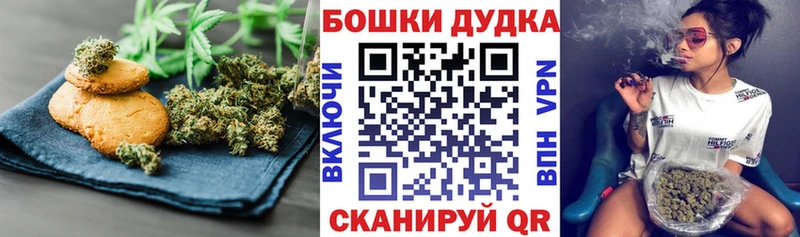 где продают наркотики  Светлогорск  Cannafood марихуана 