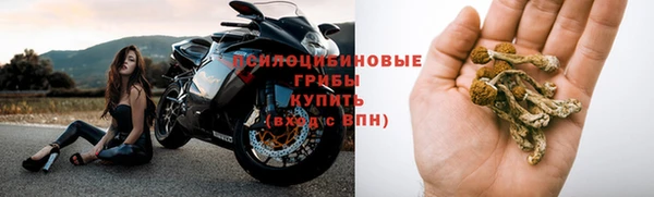 спайс Дмитриев