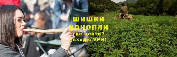 спайс Дмитриев